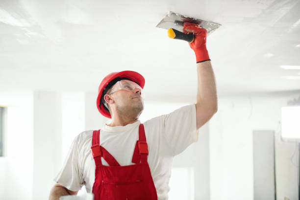 Best Drywall Sanding and Smoothing  in Half Moon Bay, CA